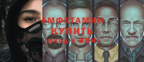 индика Богородицк