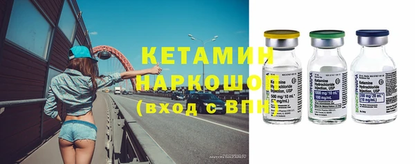 индика Богородицк