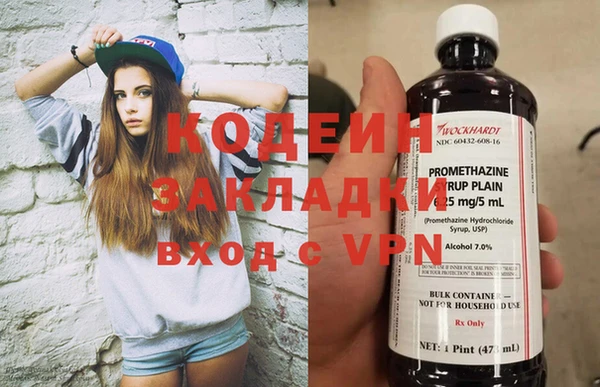 индика Богородицк