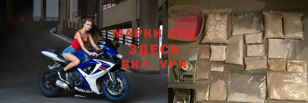 индика Богородицк