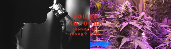 индика Богородицк