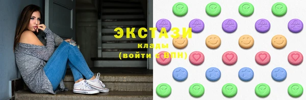 индика Богородицк