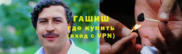 индика Богородицк