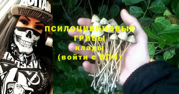 а пвп мука Богородск