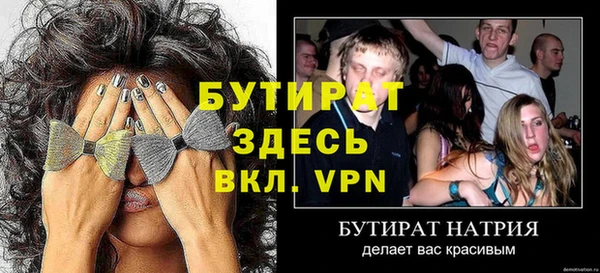 индика Богородицк