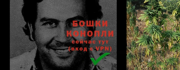 индика Богородицк