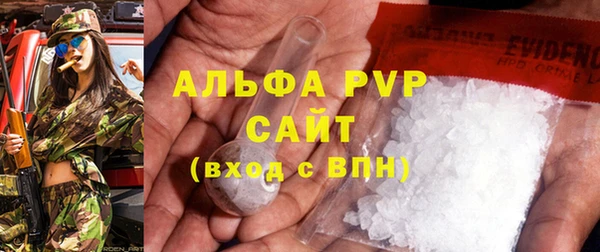 индика Богородицк