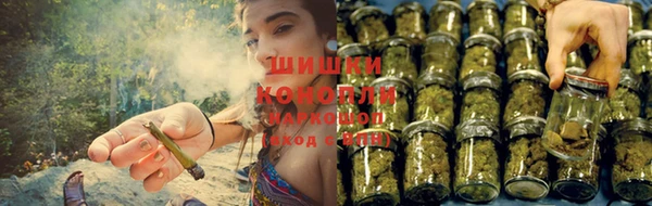 mdpv Богданович