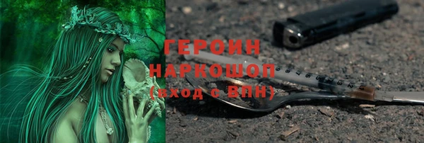 индика Богородицк
